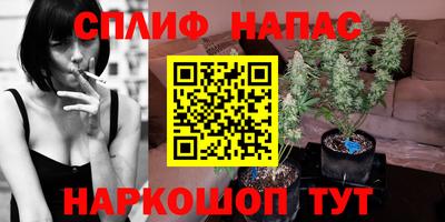 сатива Мариинск